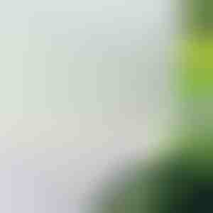 Samoljepljiva folija za prozore za zaštitu od pogleda | WINDOWFILM