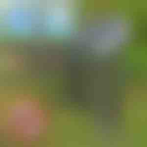 Solarni uređaj protiv nametnika | SOLGUARD