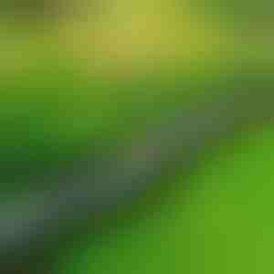 Kameni rubnjak za vrt (10 kom.) | MINIFENCE