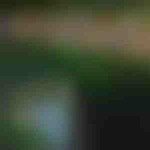 Solarna vanjska svjetla s leptirima | FLUTIX