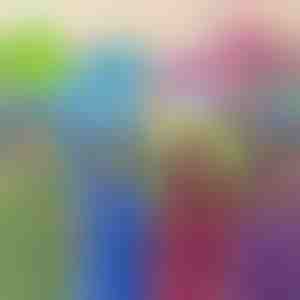 Igračka, jastuk i majica s kapuljačom | PILLOWPET