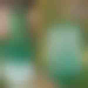 Višekratna viseća zamka za muhe za vrt, terasu i balkon | INSECTA