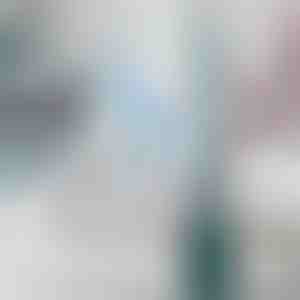 WC četka s ugrađenim dozatorom otopine za čišćenje | FLUSHBRUSH