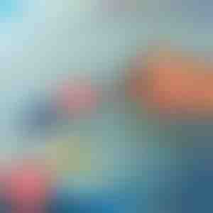 Igračke za kupanje u obliku kornjača koje plivaju (3 kom) | TURTLITO