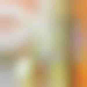 Višenamjenska sjeckalica | SLICEWISE