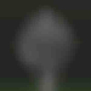 Čarobna vrtna kinetička vjetrenjača | WINDARA