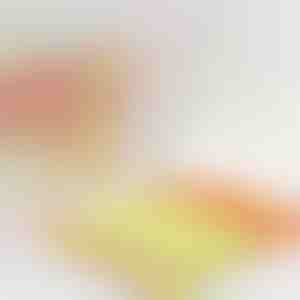 Čistač za rolete koji prepolovljuje vrijeme čišćenja | BLINDY