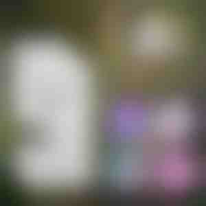 Prijenosni dječji mikroskop | MINISCOPE