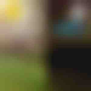 Svjetla za tropski vrt na solarni pogon | LUMIPALM