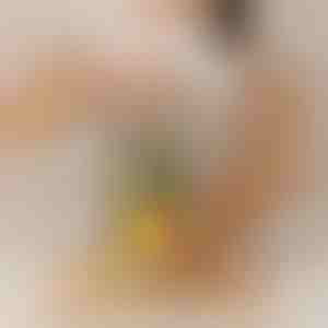 Rezač ananasa koji radi bez napora | PINECUT