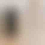 Snimač koji bilježi sve | AVITALK