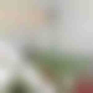 Podesiva šipka za stabilizaciju vrha božićnog drvca | STABLESTAR