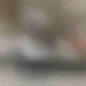 Parni čistač pod visokim tlakom | STEAMAX