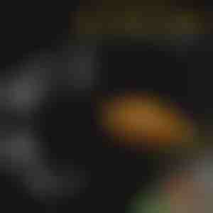 Set posudica za hranjenje akvarijskih riba | FINTROL