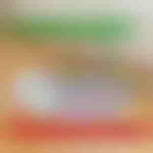 Višekratna nepropusna podloga za pse | PAWSORB