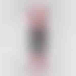 Premium višekratna mikrovlakna krpa za čišćenje | WIPLY